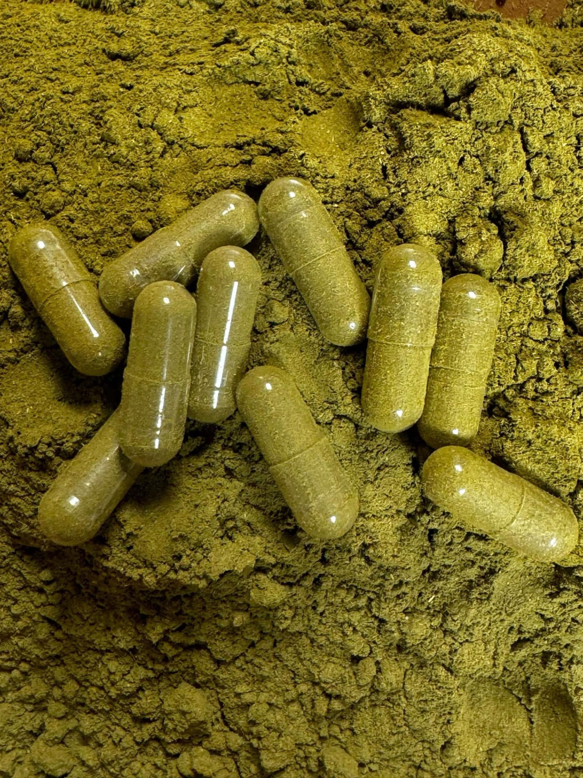 HARD ROCK HERBS SOURSOP LEAVES CAPSULES 100 CT